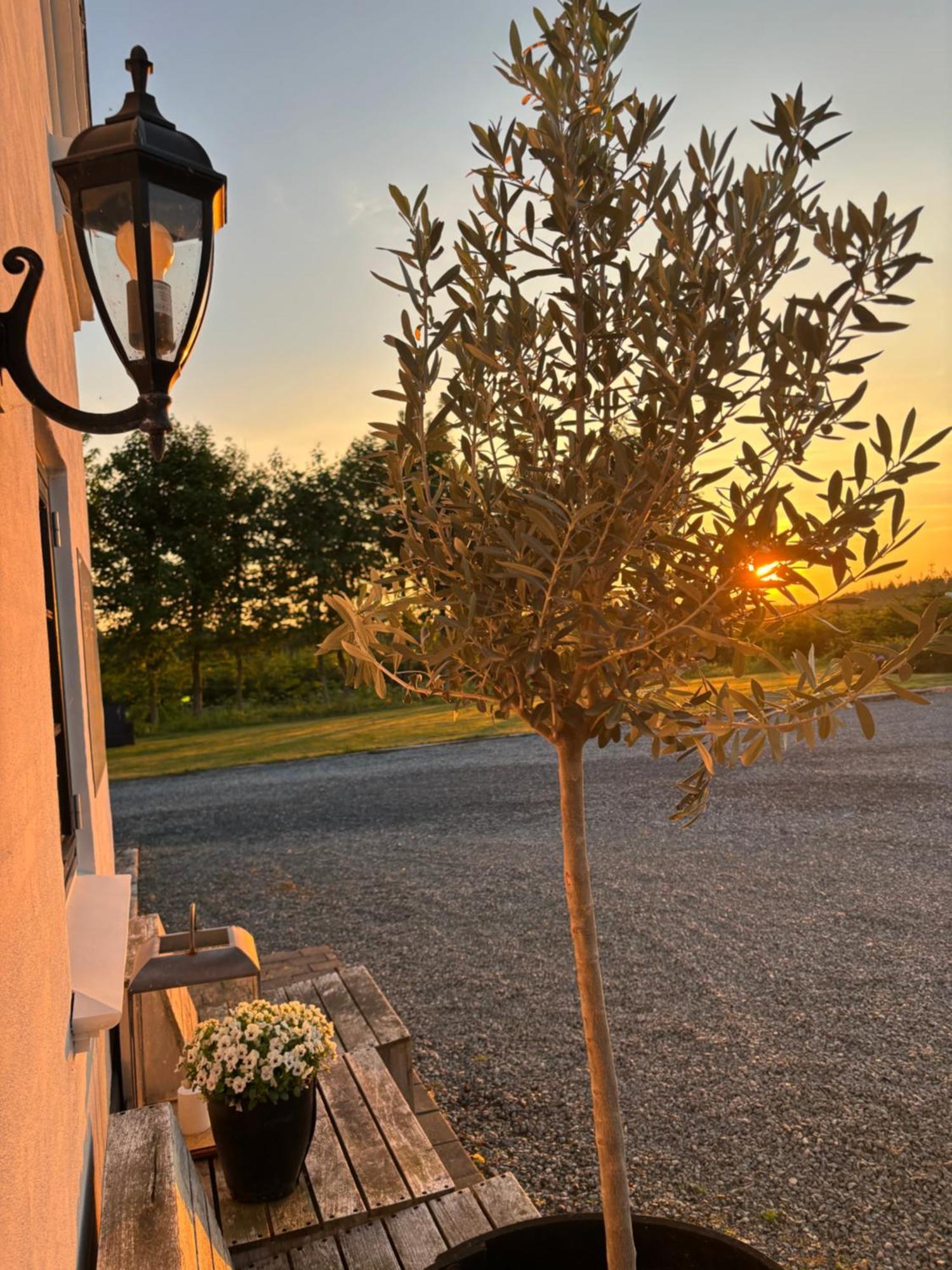 Bed and Breakfast Hedegaarden Engesvang Экстерьер фото